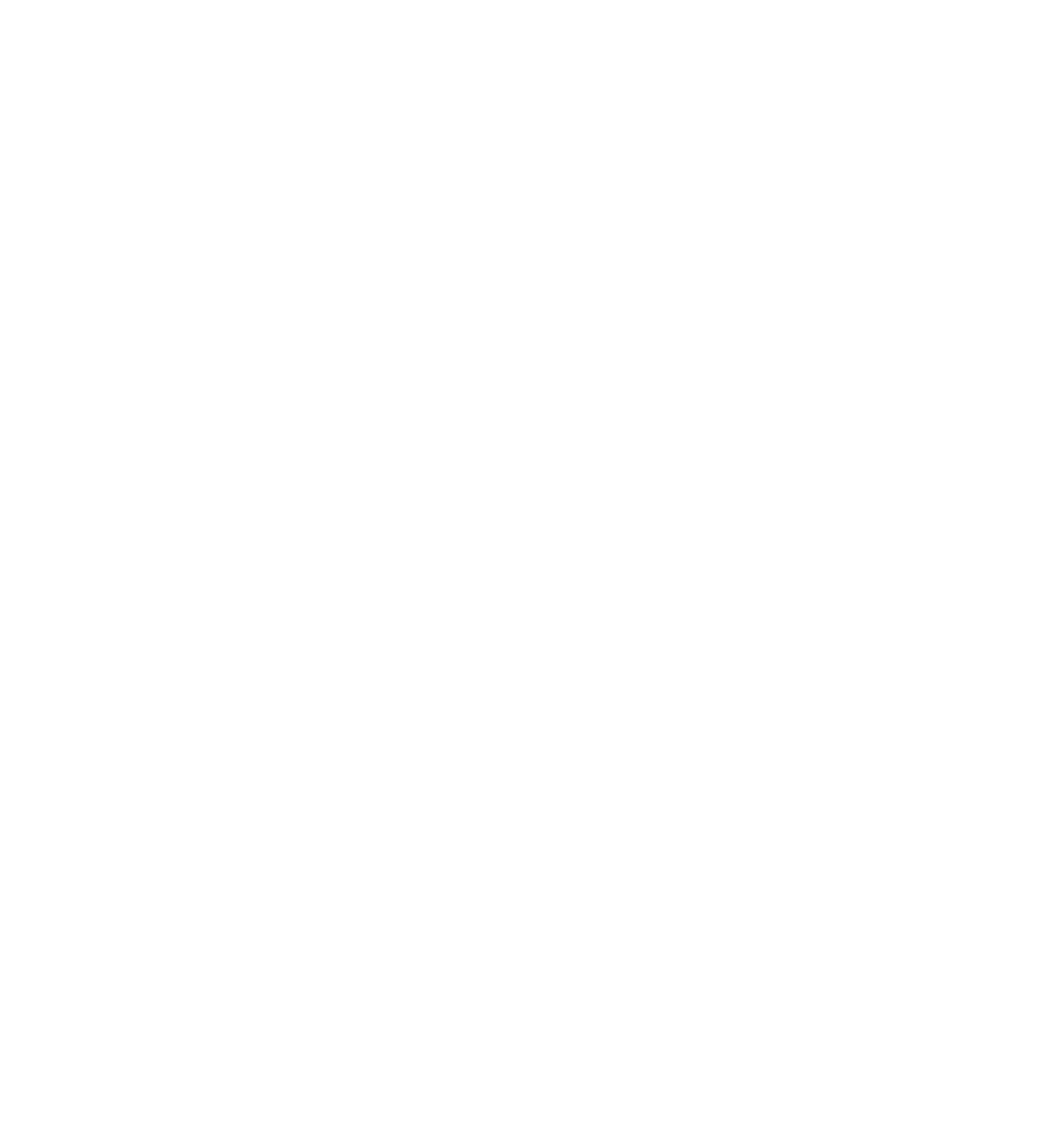nit-vertical-branco